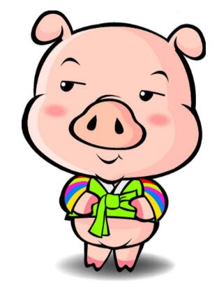 屬豬人房子風水宜忌解析,屬豬人風水禁忌(圖文)