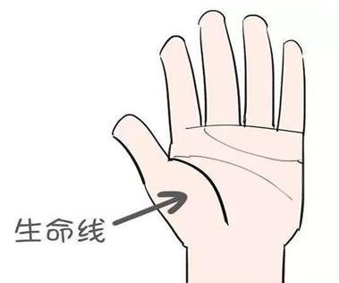 手紋深