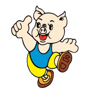 屬豬的人房間風(fēng)水有什么旺財(cái)禁忌？(圖文)