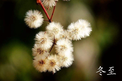 2019年冬至破土修墳吉不吉利,冬至和立冬哪個更冷？(圖文)