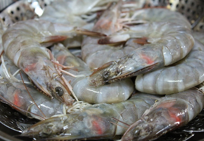 夢(mèng)見(jiàn)自己抓了好多活蝦是什么意思 夢(mèng)見(jiàn)自己抓了好多活蝦有什么預(yù)兆