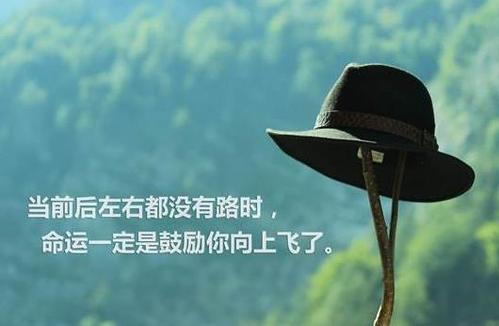 富貴竹擺放—2020年富貴竹應該擺放在什么方位吉利？(圖文)