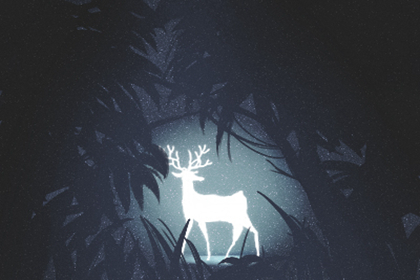 開(kāi)車(chē)撞到野兔是擋災(zāi)嗎,要注意什么呢(圖文)