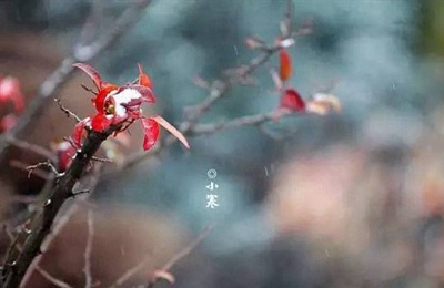 2019豬年小寒節氣出生的人命運 小寒節氣的含義(圖文)