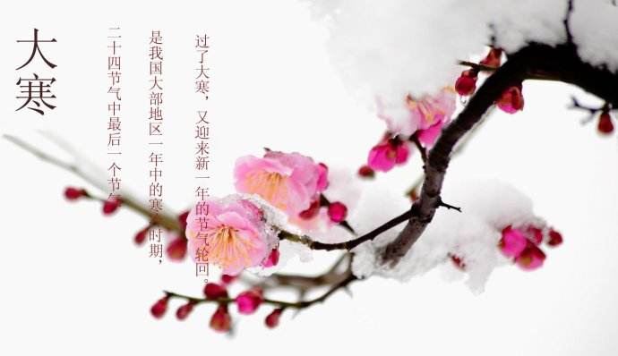 大寒期間農事需要注意什么？2020年大寒冷嗎？(圖文)