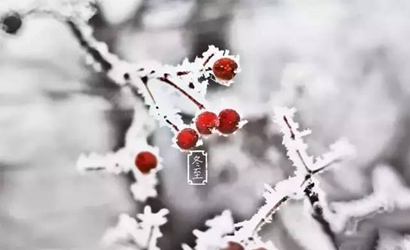 2019年冬至出生的豬寶寶女孩子名字100分福氣祥瑞取名!(圖文)