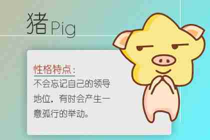 本命年會怎么樣 屬豬人本命年兩大運勢(圖文)
