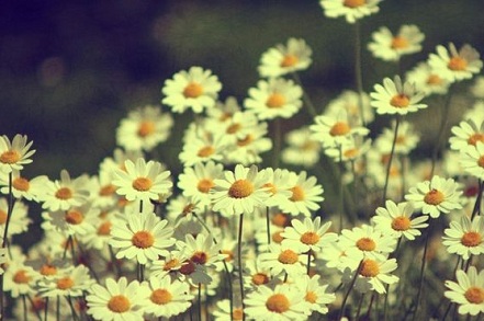 屬龍2019年到過年前有沒有發(fā)財(cái)?shù)臋C(jī)會(huì)？財(cái)運(yùn)好不好？(圖文)