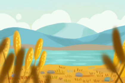 樟樹最忌諱栽哪里 有什么風水學講究(圖文)