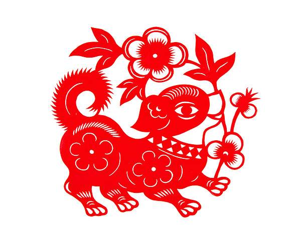 屬狗寅時出生的女孩命運怎么樣？(圖文)