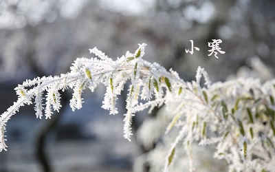 2020年1月6日小寒節氣出生的寶寶命好嗎？(圖文)