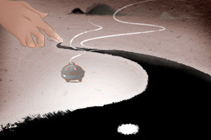 開(kāi)車(chē)撞到野兔是擋災(zāi)嗎,要注意什么呢(圖文)