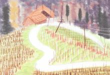 內眼角鷹勾眼面相怎么樣