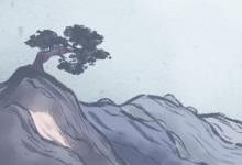院子里種榕樹會犯什么忌諱