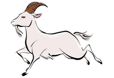 屬羊的人2019年年底跳槽合不合適？屬羊2019年兇位？(圖文)