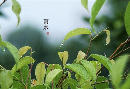 2020年正月廿五雨水前一天宜搬家安床嗎,雨水幾月幾日2020？(圖文)