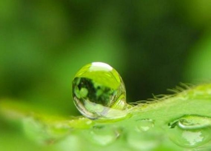 2020年正月廿六雨水出生女鼠寶寶是喜火命嗎,雨水第幾個節(jié)氣？(圖文)