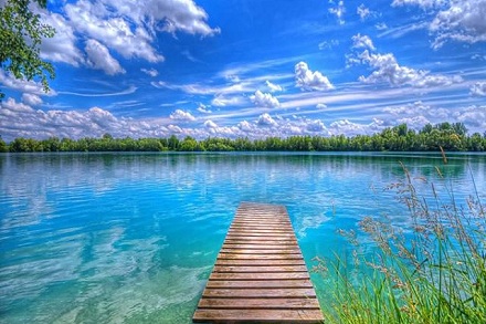 屬豬適合養(yǎng)多少風(fēng)水魚(yú)才能旺財(cái)？屬豬養(yǎng)什么魚(yú)比較好？(圖文)