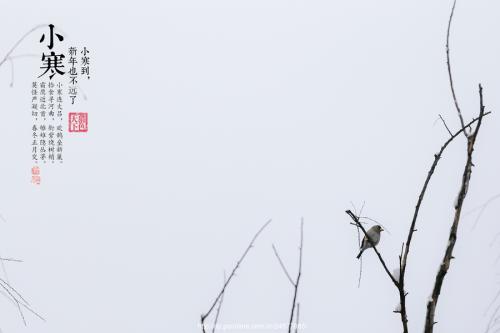 小寒節氣可以搬家嗎 什么日子搬家好？(圖文)