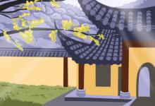 家里來蛇有什么寓意
