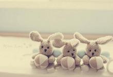 屬鼠2019年年底前能跳槽嗎?屬鼠2019年需要注意什么?