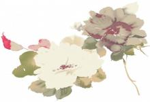 屬馬女生適合從事什么工作