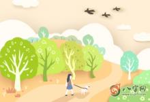 為什么說手上十個天籮不如一個地籮