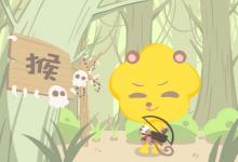 1956年屬什么 1956年出生的今年多大