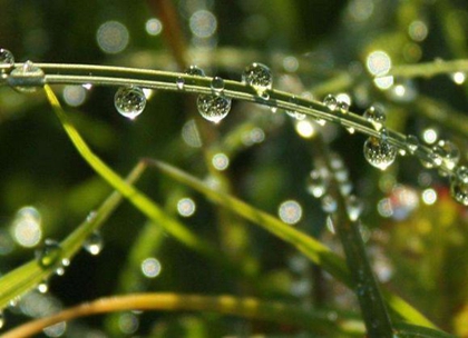 2020年2月19日雨水節氣可以上梁嗎,2020雨水幾點幾分幾秒？(圖文)