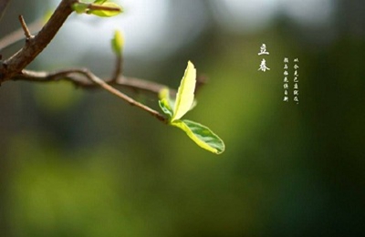 2020年立春是哪天？立春節(jié)氣搬家好不好？(圖文)