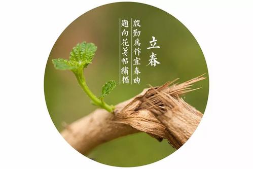 2020年立春—牛日出生的鼠寶寶好嗎 命中有福分嗎？(圖文)