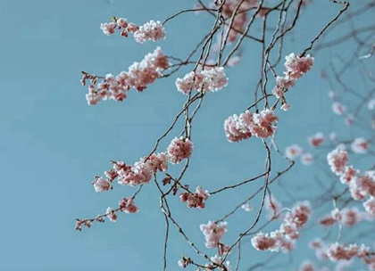 2020年二月初九出生屬鼠男寶寶命運如何,今天日子如何?(圖文)