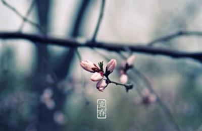 立春是什么日子？2020年立春是農(nóng)歷哪一天？(圖文)
