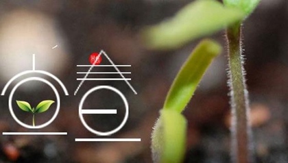 2020年立春養(yǎng)生注意什么,立春為什么不能出遠門？(圖文)