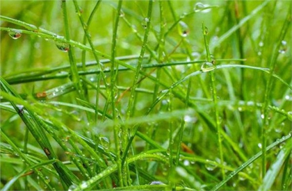 2020年雨水后一天正月二十七日子適合搬家入宅嗎？(圖文)