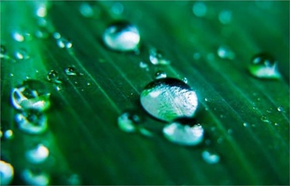 2020年雨水后一天宜裝修房子嗎，雨水節氣更容易下雨嗎？(圖文)