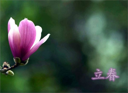 2020年2月4日立春禁忌什么,立春日為什么要拜太歲？(圖文)