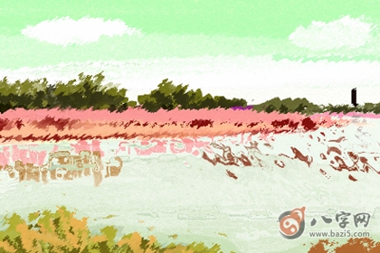 比劫重重食傷泄秀富貴 有何詳解(圖文)