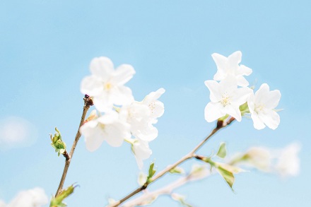 屬兔2019年年底之前工作有變動(dòng)嗎?事業(yè)運(yùn)好不好?(圖文)