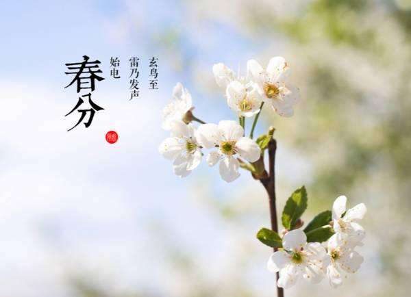 2020年春分出生的寶寶好不好？春分出生命理分析(圖文)