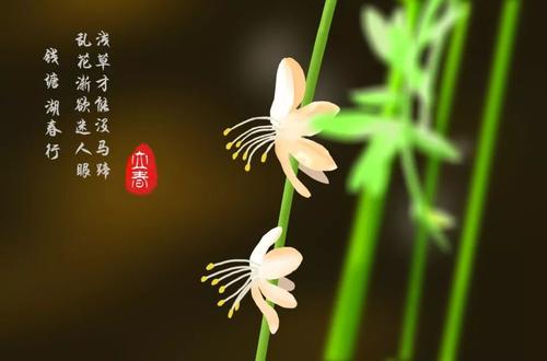 立春前一日要迎春嗎 立春十五天有哪三候？(圖文)