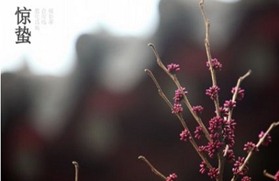 2020鼠年驚蟄訂婚好嗎？驚蟄節(jié)氣有什么禁忌？(圖文)