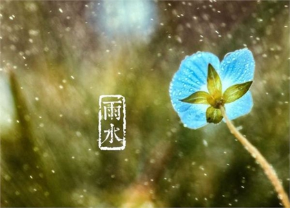2020年雨水后一天2月20日可以領證嗎,今日婚戀卦象如何？(圖文)