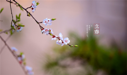 （2月3日—2月5日）立春時節要注意保護陽氣嗎？(圖文)
