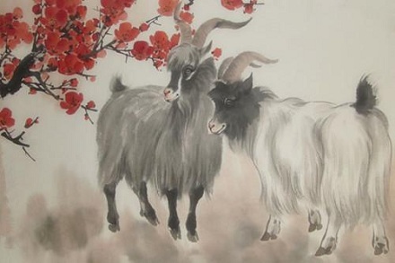 屬羊2019年離過年的時間里運氣怎么樣？是好是壞？(圖文)