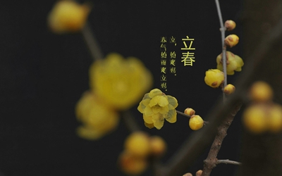 2020年立春是哪天？立春節(jié)氣搬家好不好？(圖文)