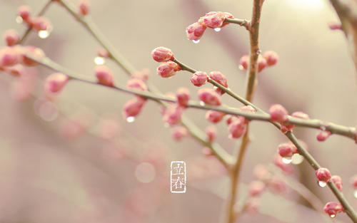 立春（2月3—2月5）立春祭是什么活動 祭祀禮儀講究！(圖文)