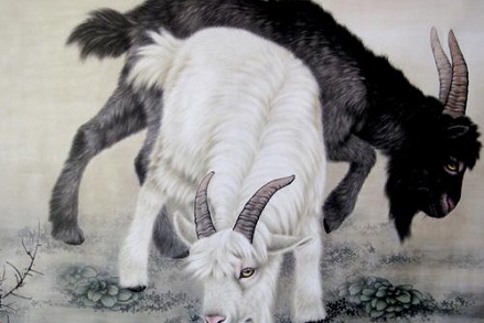 屬羊的人2019年過年前事業(yè)運能轉(zhuǎn)好嗎？事業(yè)運好不好？(圖文)