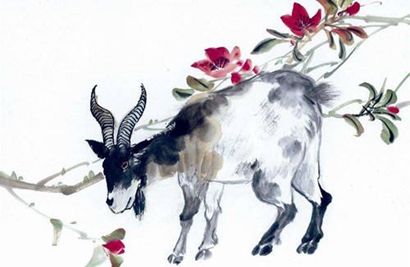 屬羊過(guò)年出生的人命運(yùn)如何 屬羊正月初一出生是什么命？(圖文)