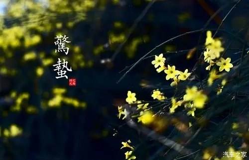 驚蟄節氣出生的屬兔人是什么命 驚蟄出生屬兔人好不好？(圖文)